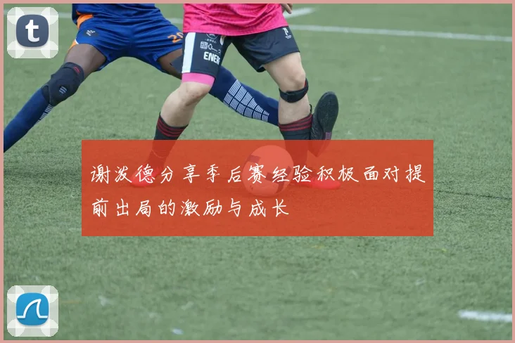 谢泼德分享季后赛经验积极面对提前出局的激励与成长
