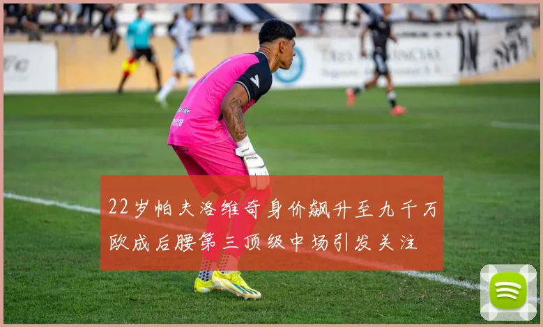 22岁帕夫洛维奇身价飙升至九千万欧成后腰第三顶级中场引发关注