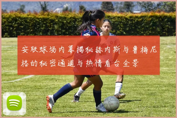 安联球场内幕揭秘赫内斯与鲁梅尼格的秘密通道与热情看台全景