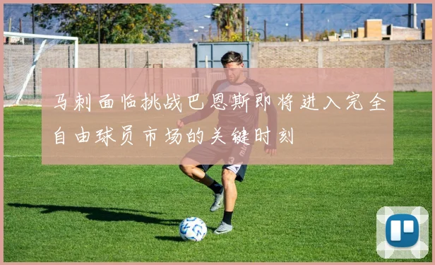 马刺面临挑战巴恩斯即将进入完全自由球员市场的关键时刻